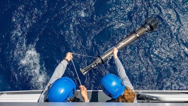 Глубоководные роботы исследовали низкокислородные участки океана: что они выявили