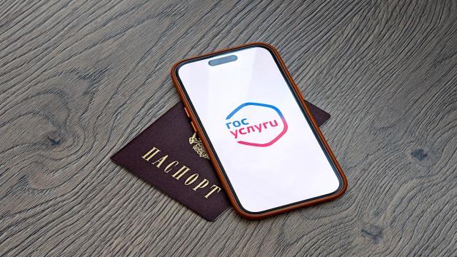 Гражданам РФ разрешили использовать «Госуслуги» вместо паспорта с 1 апреля