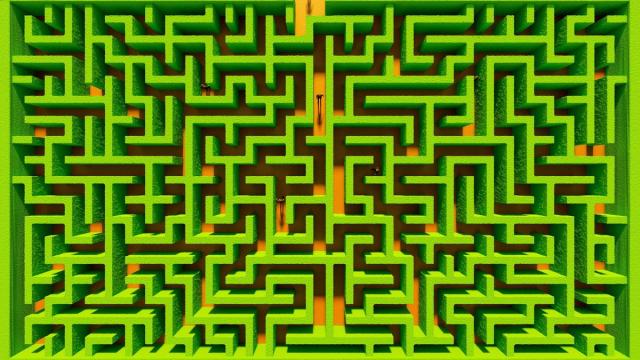 Как выглядит самый сложный лабиринт в мире: сможете пройти?