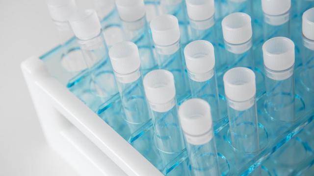 Найдены дополнительные гены, ответственные за редкий диабет новорожденных