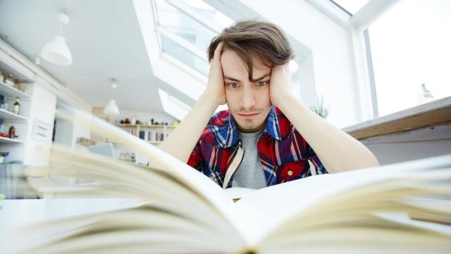 Российским школьникам рассказали, как «прокачать» мозг перед ЕГЭ