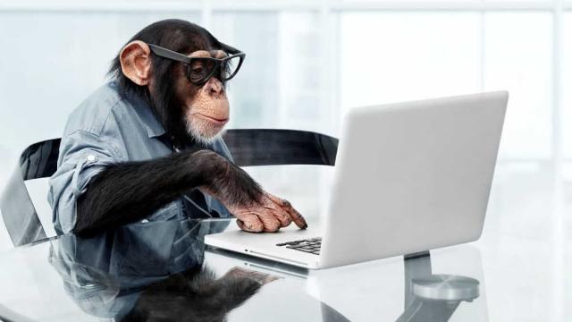 Тест: вы великолепны, если получите 10/10