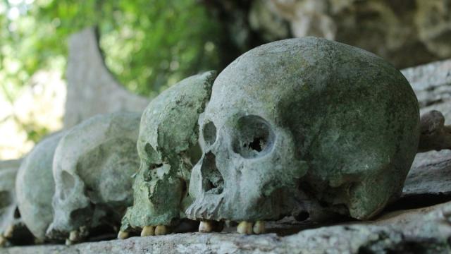 Ученые нашли жуткую закономерность в каннибализме неандертальцев