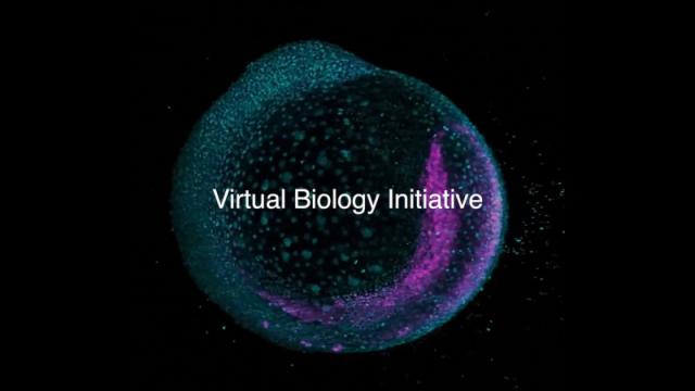 Biohub Марка Цукерберга взялся ускорить лечение всех болезней с помощью ИИ-моделей клеток