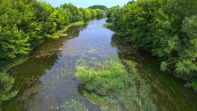 Анализ ДНК в капле воды позволил переписать всех речных обитателей