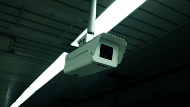В России начали искать наркоторговцев с помощью ИИ