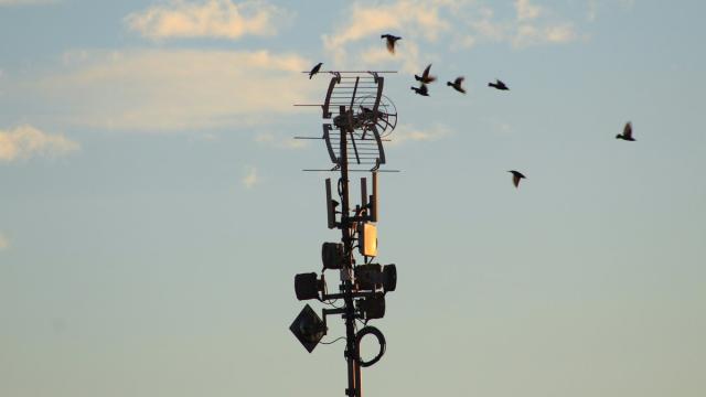 Глава МТС: тема с 5G в России стоит очень остро и прямо