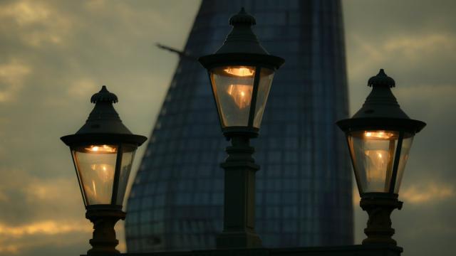 Зачем яйцеклеткам хромосомы — «ламповые щетки»: ответ российских ученых