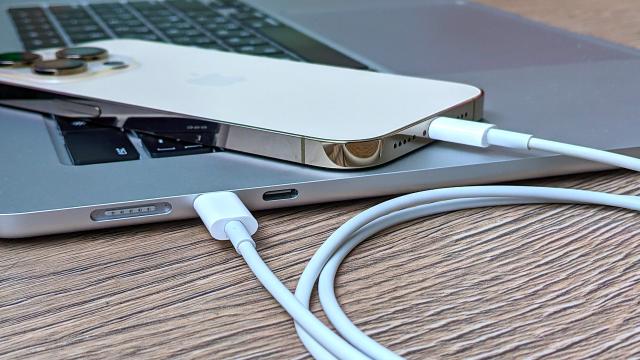 Нашли неплохую бесплатную замену iMazing для Windows, Linux и macOS — iDescryptor