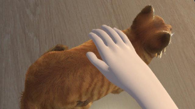 Ученые научились гладить несуществующих кошек
