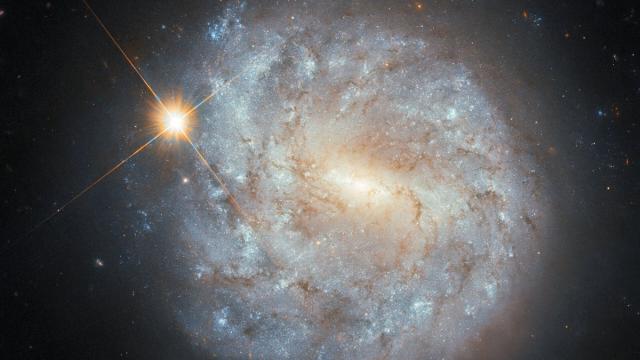 JWST обнаружил удивительную гигантскую галактику: она не вращается