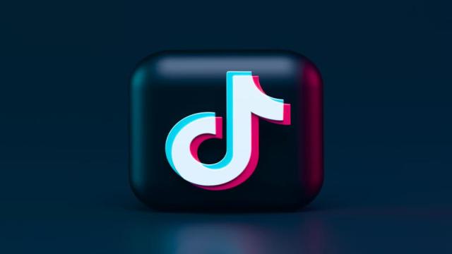 TikTok оспорил статус «привратника» в высшем европейском суде