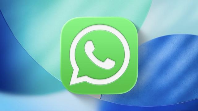 WhatsApp официально запускает новую функцию — юзернеймы
