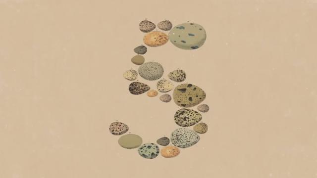 Anthropic внезапно выпустила Claude Opus 5 — почти как Fable 5, но по ценам на уровне предшественника
