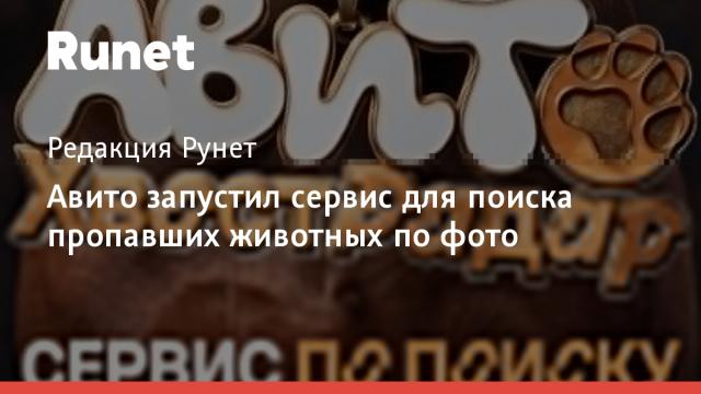 Авито запустил сервис для поиска пропавших животных по фото