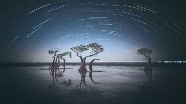 Названы победители конкурса iPhone Photography Awards