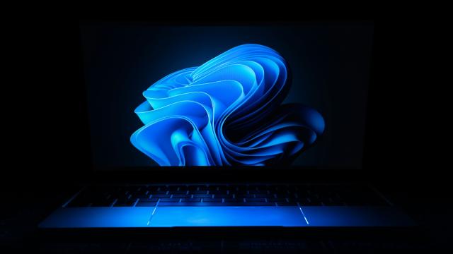 Новый SSD не нужен: ошибка Windows 11 сжирает ваш накопитель и просит добавки