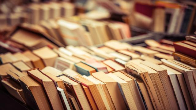Тест: здесь начинается территория любознательных