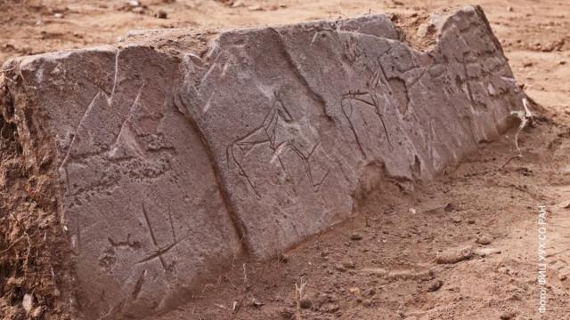 В Сибири нашли уникальные рисунки лошадей возрастом 2500 лет