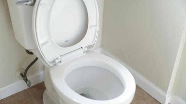 Создана умная крышка для унитаза, которая находит проблемы с сердцем