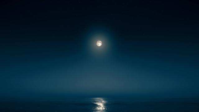 test54354