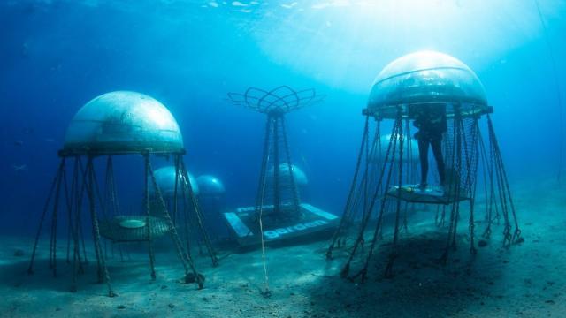 Футуристический сад будущего на дне средиземного моря