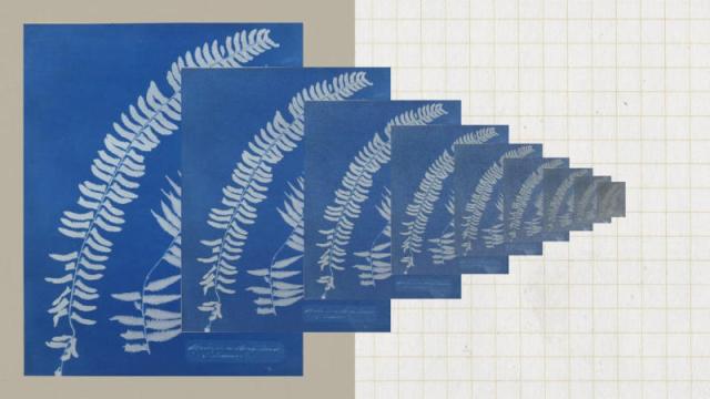 Anthropic перекрыла лазейку для клонирования Claude — дистиллировать модели стало в 10–100 раз труднее