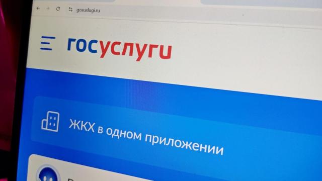 «Госуслуги» получат новое приложение для смартфонов
