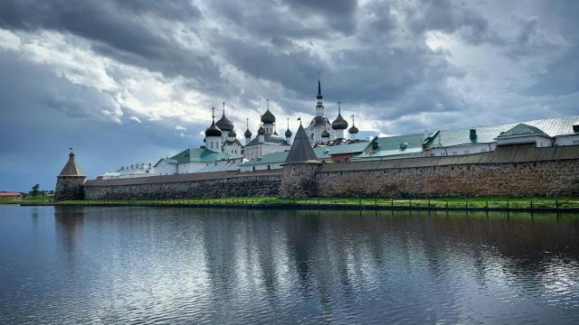 Как живется в соседстве с человеком белухам и тюленям Соловков: ответ ученых