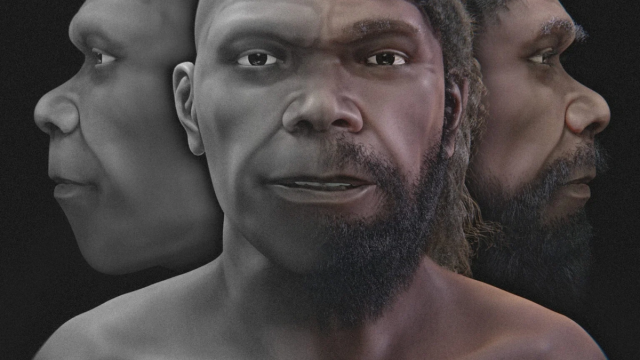 Лицо Homo sapiens возрастом 315 тысяч лет воссоздали: он бы затерялся в толпе